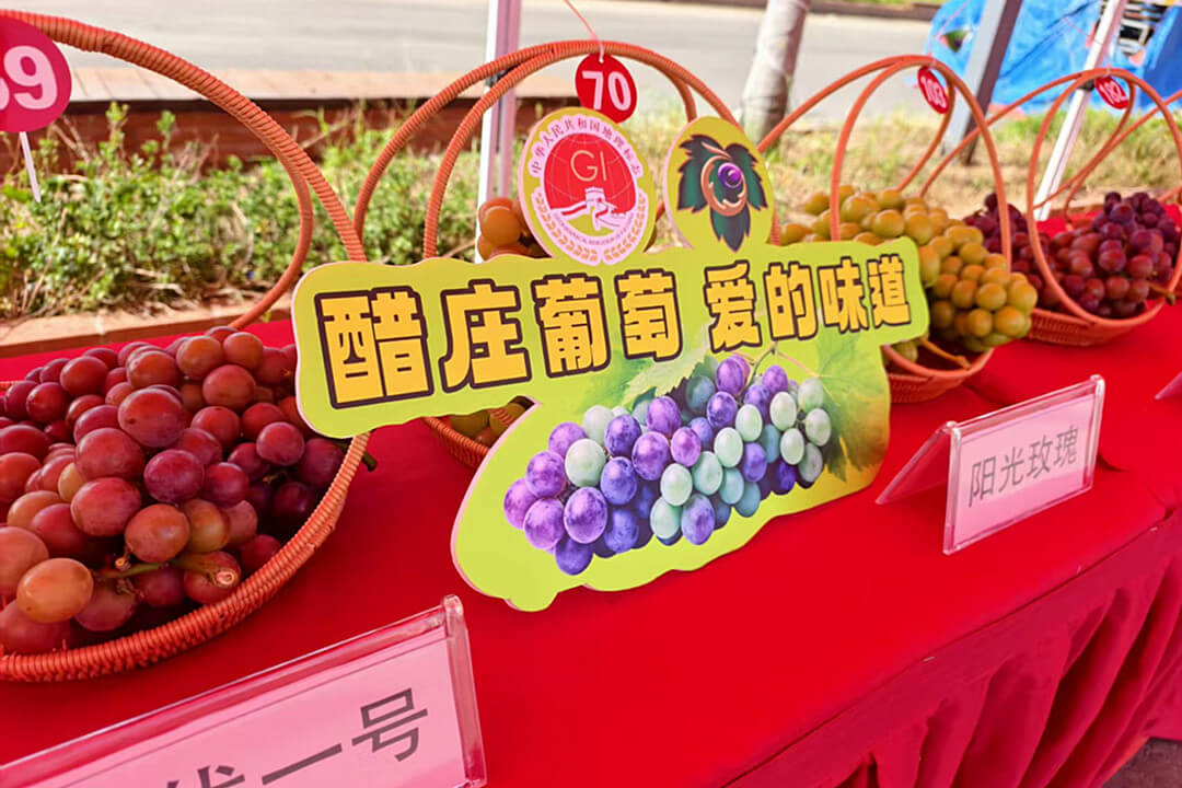 以果为媒展特色 深耕产业助振兴 临沂市沂河新区第九届醋庄葡萄文化节成功举办